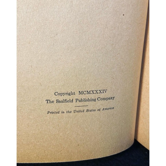 RARE 1934 HC - The Mystery Hunters at Lakeside Camp by Capwell Wyckoff Saalfield - Picture 8 of 16